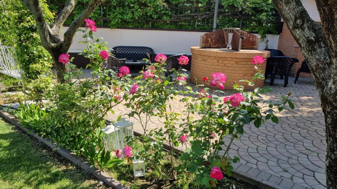 Fontana Oasis Apartments Castelnuovo del Garda Εξωτερικό φωτογραφία
